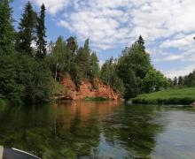 берега Оредежа